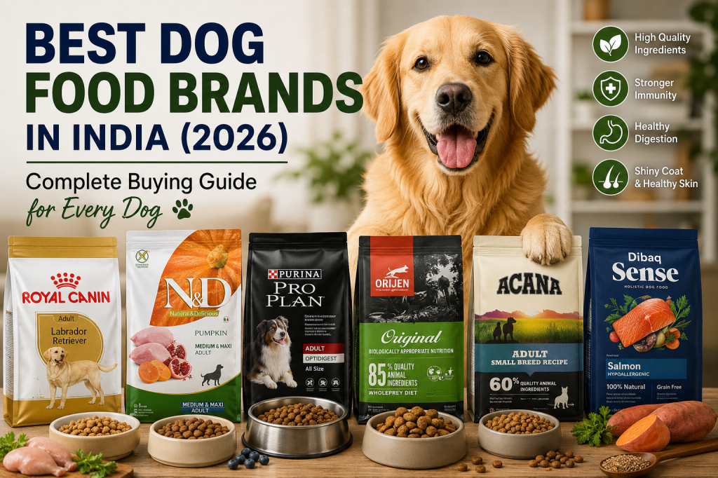 BEST DOG FOOD BRANDS IN INDIA 2026